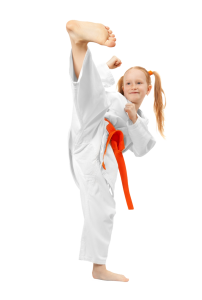 Karate PNG-55535